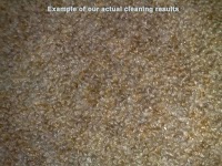 Fresh Clean Carpets 350437 Image 2